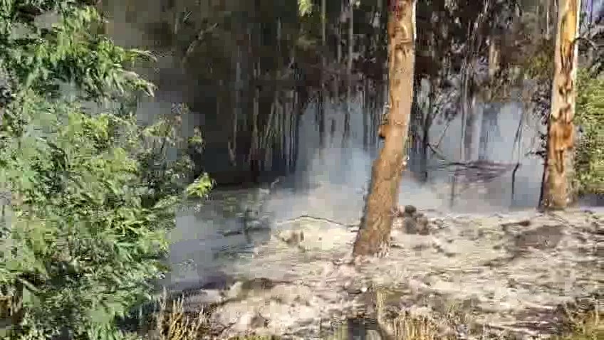 Erzin Yukari Burnaz Yangini (3)