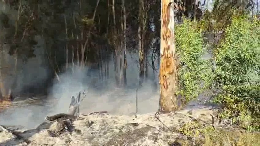 Erzin Yukari Burnaz Yangini (4)