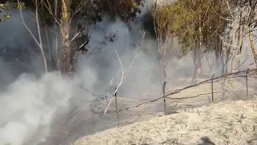 Erzin Yukari Burnaz Yangini (5)