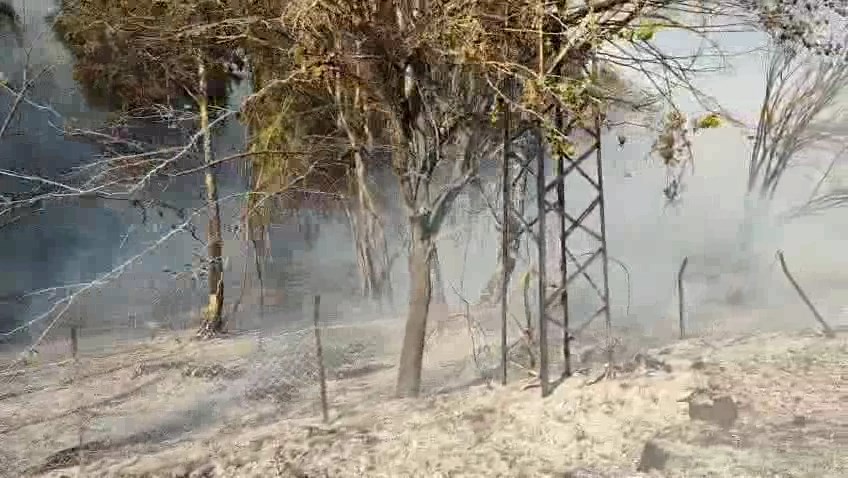 Erzin Yukari Burnaz Yangini (6)