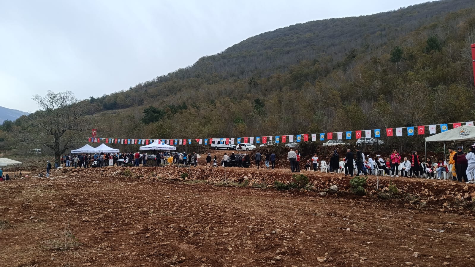 Isk Fidan Dikimi (10)