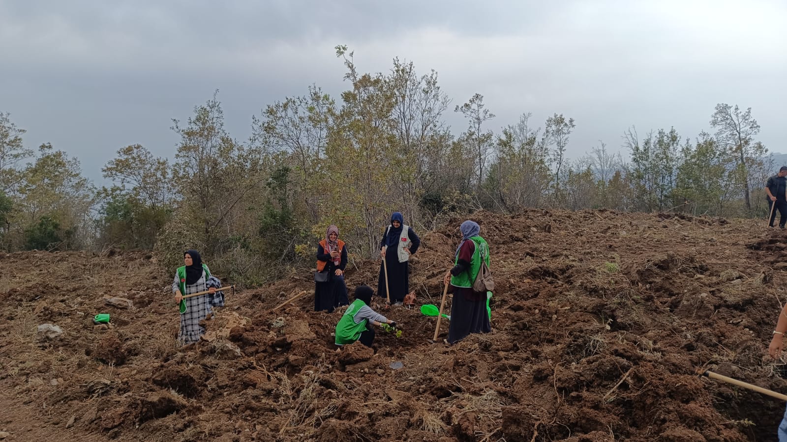 Isk Fidan Dikimi (5)