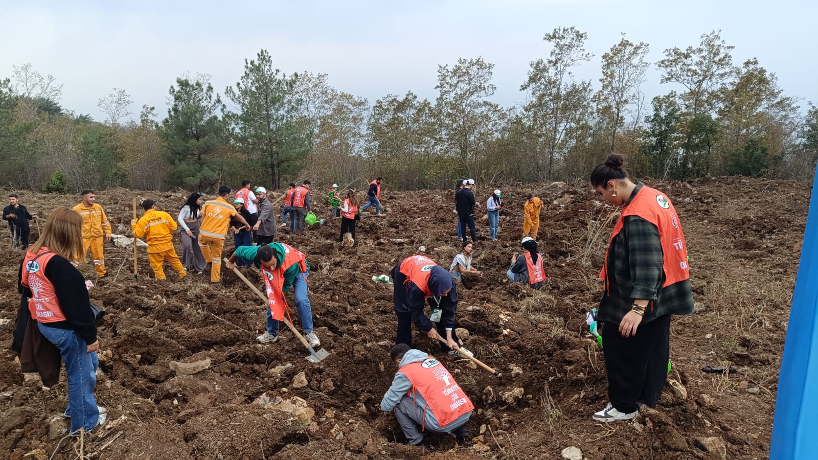 Isk Fidan Dikimi (6)