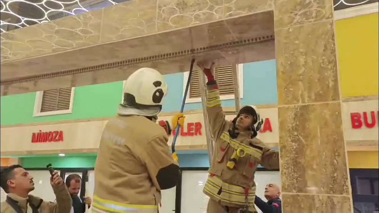 Kedi Operasyonu.mp4 Snapshot 00.01.922