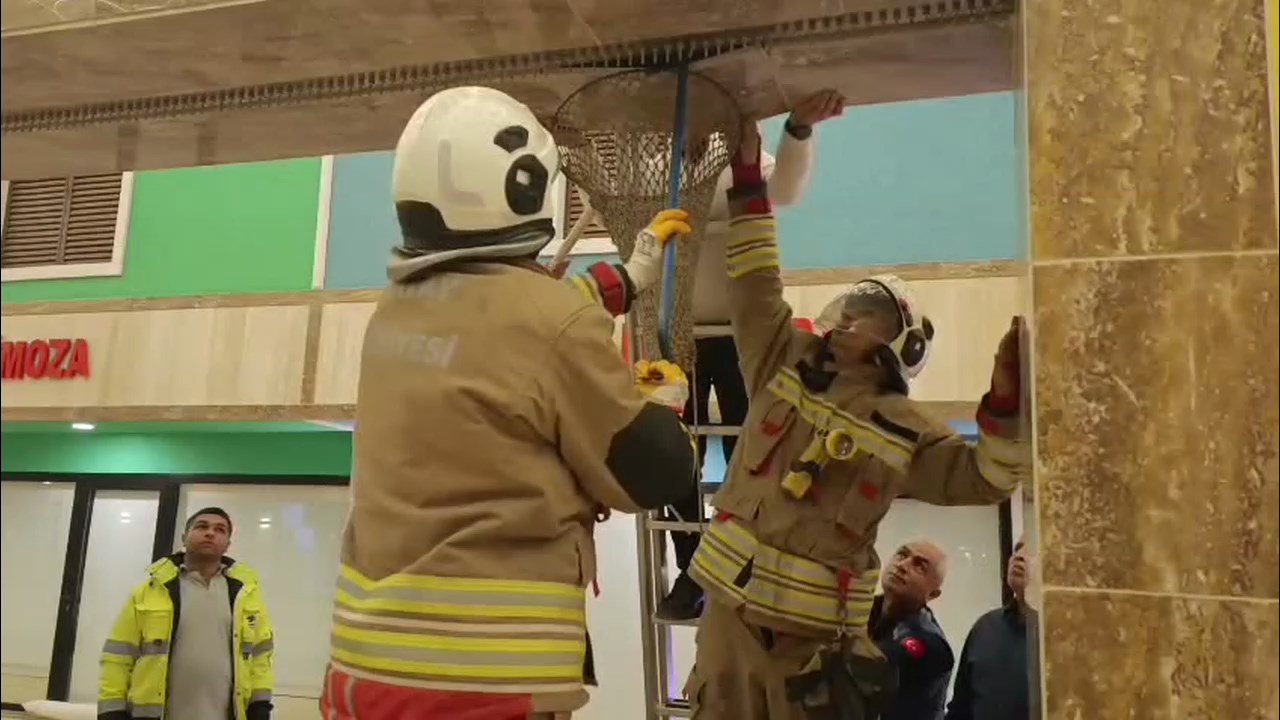 Kedi Operasyonu.mp4 Snapshot 00.27.640