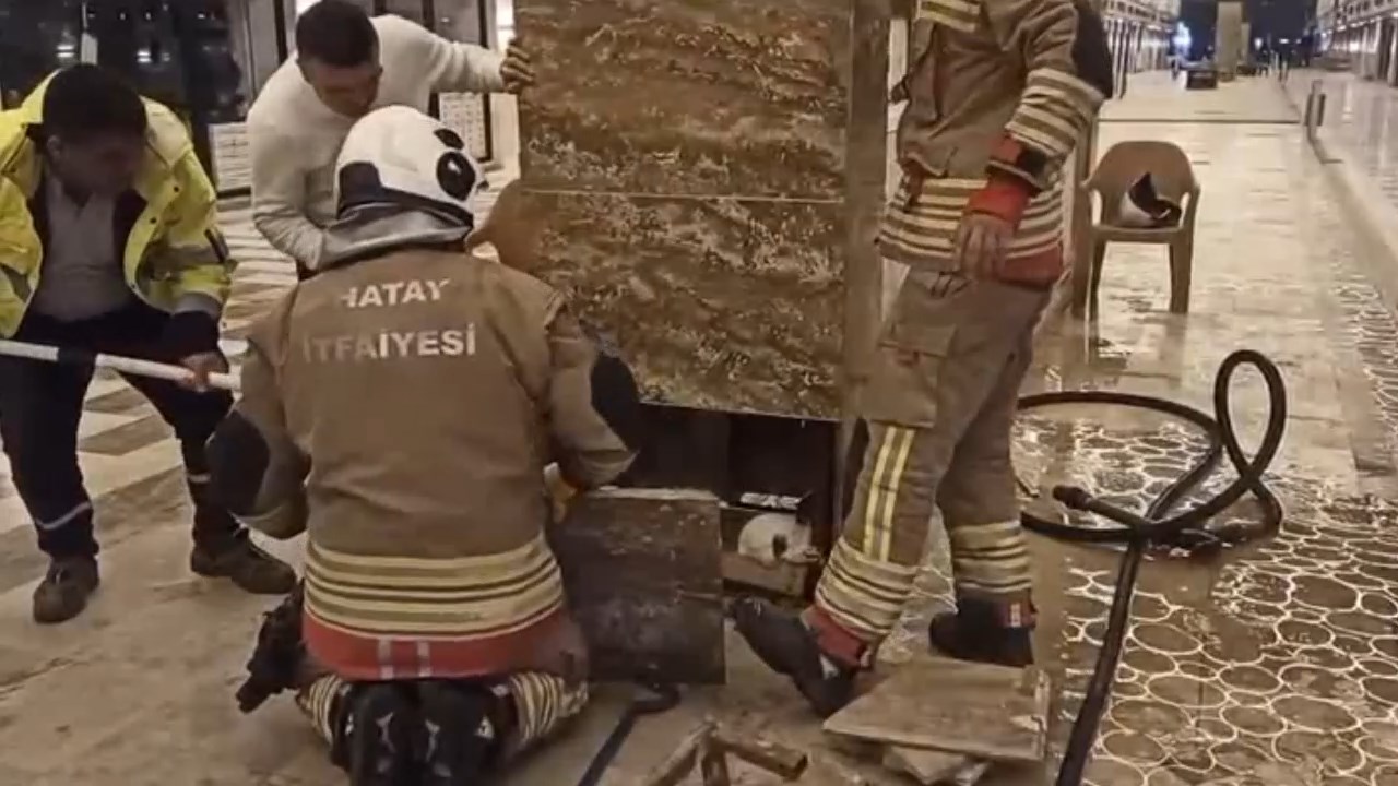 Kedi Operasyonu.mp4 Snapshot 01.11.620