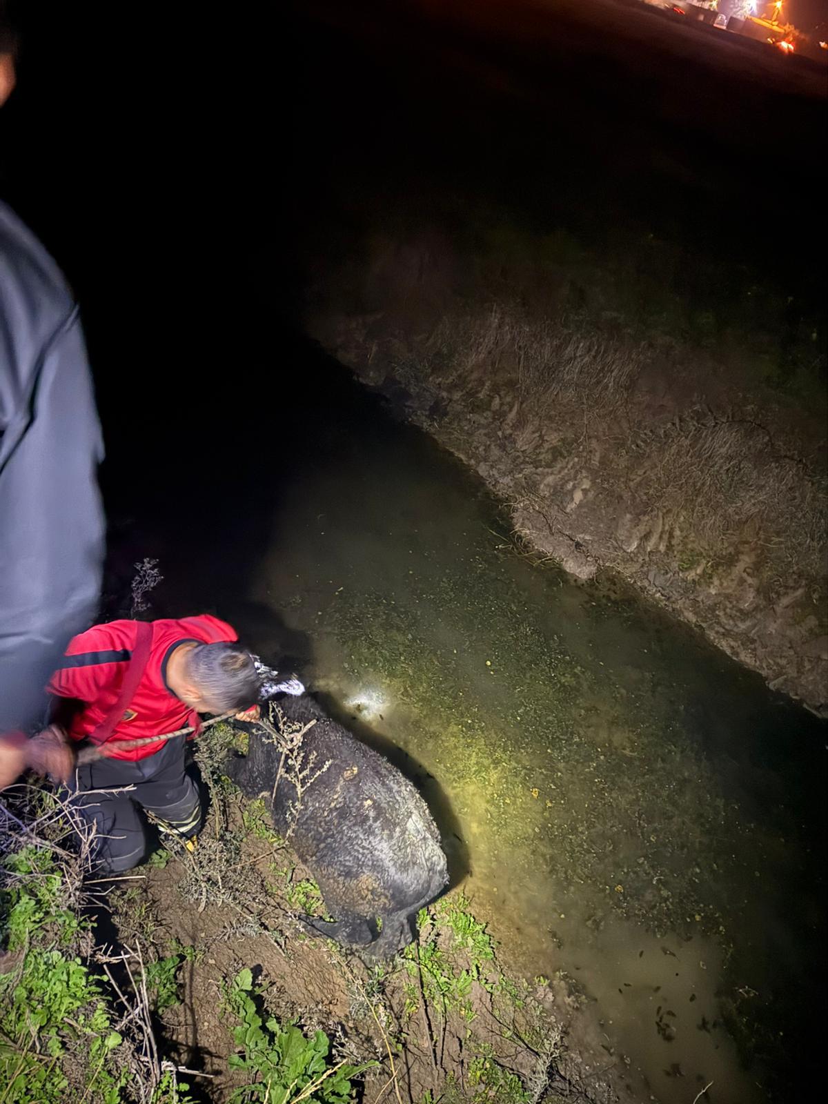 36Dfaa11 Fef4 48C5 9Ddf C02Bd311320A