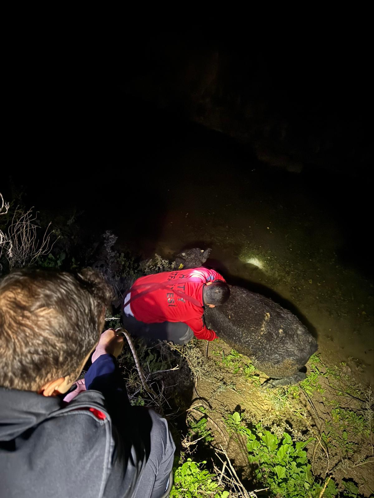 3A0B774E 6100 4E34 94Df 41Cd982Ecd42