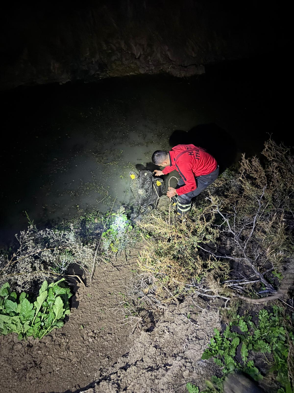 54Cc68B2 6Ea4 48Ab B4F6 3A4E5A0807Fb