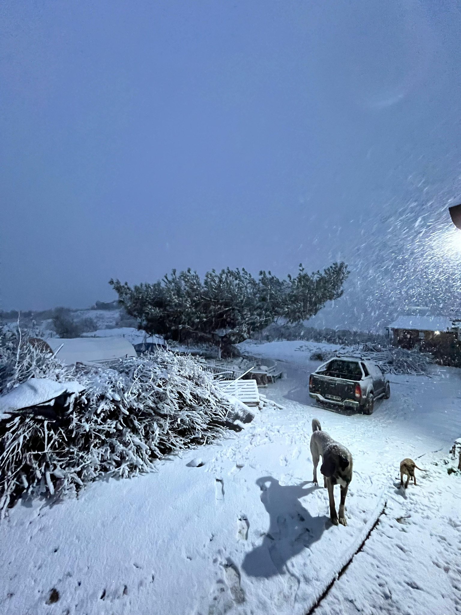 606061351 1266383952188747 1290081734844459288 N