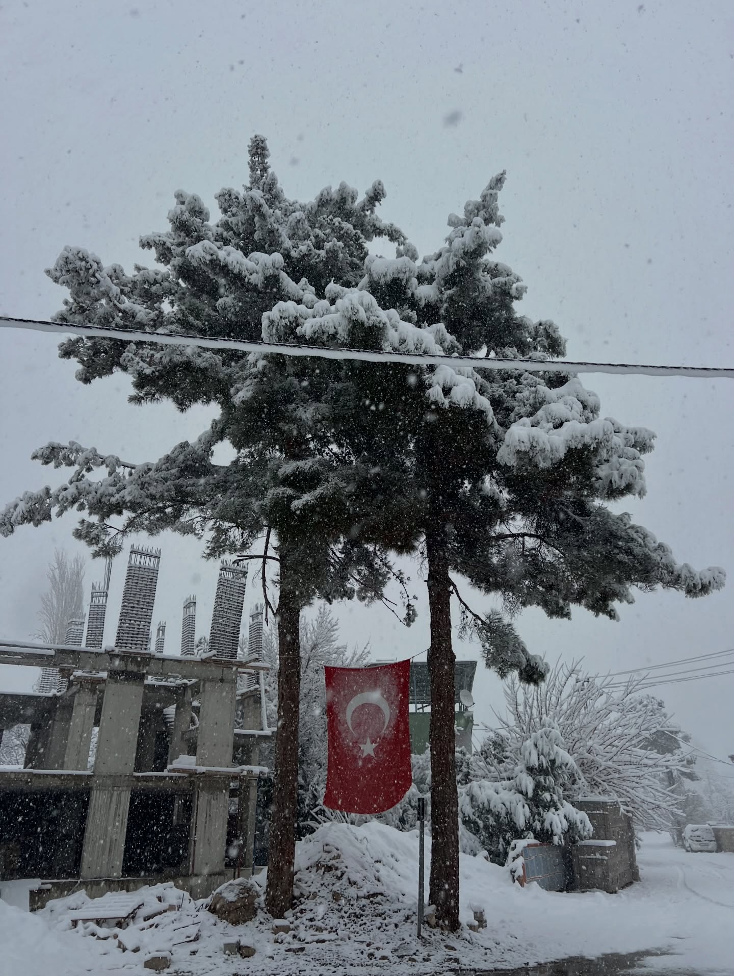 608251378 18440476480111217 4648531832456307556 N