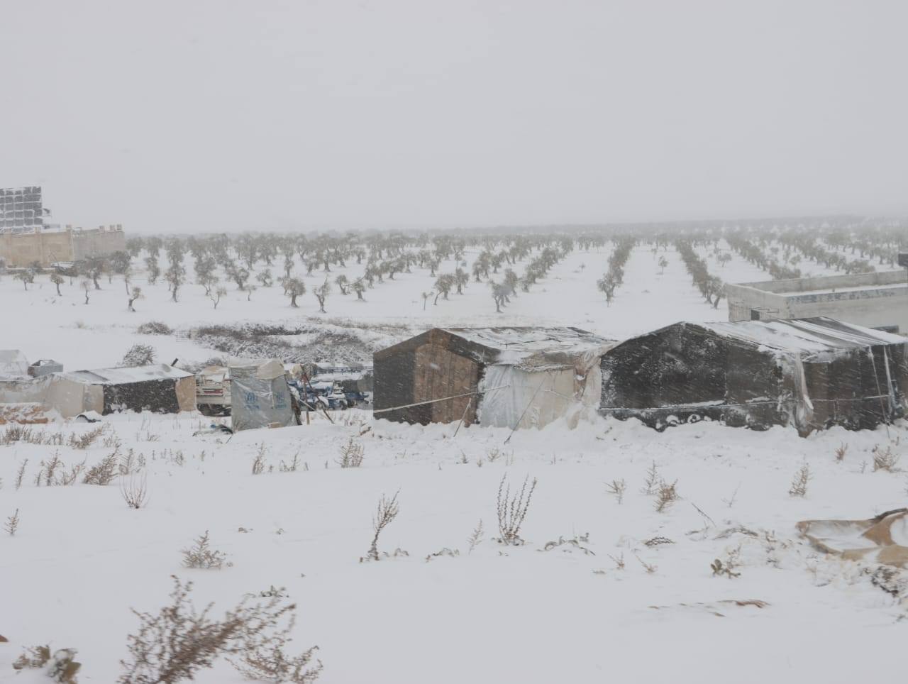 608507519 1206394561695611 8582961377095370320 N