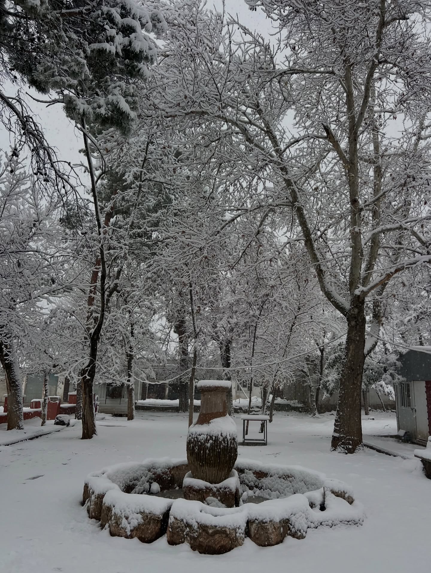 608833218 18440476546111217 5085664156048632137 N