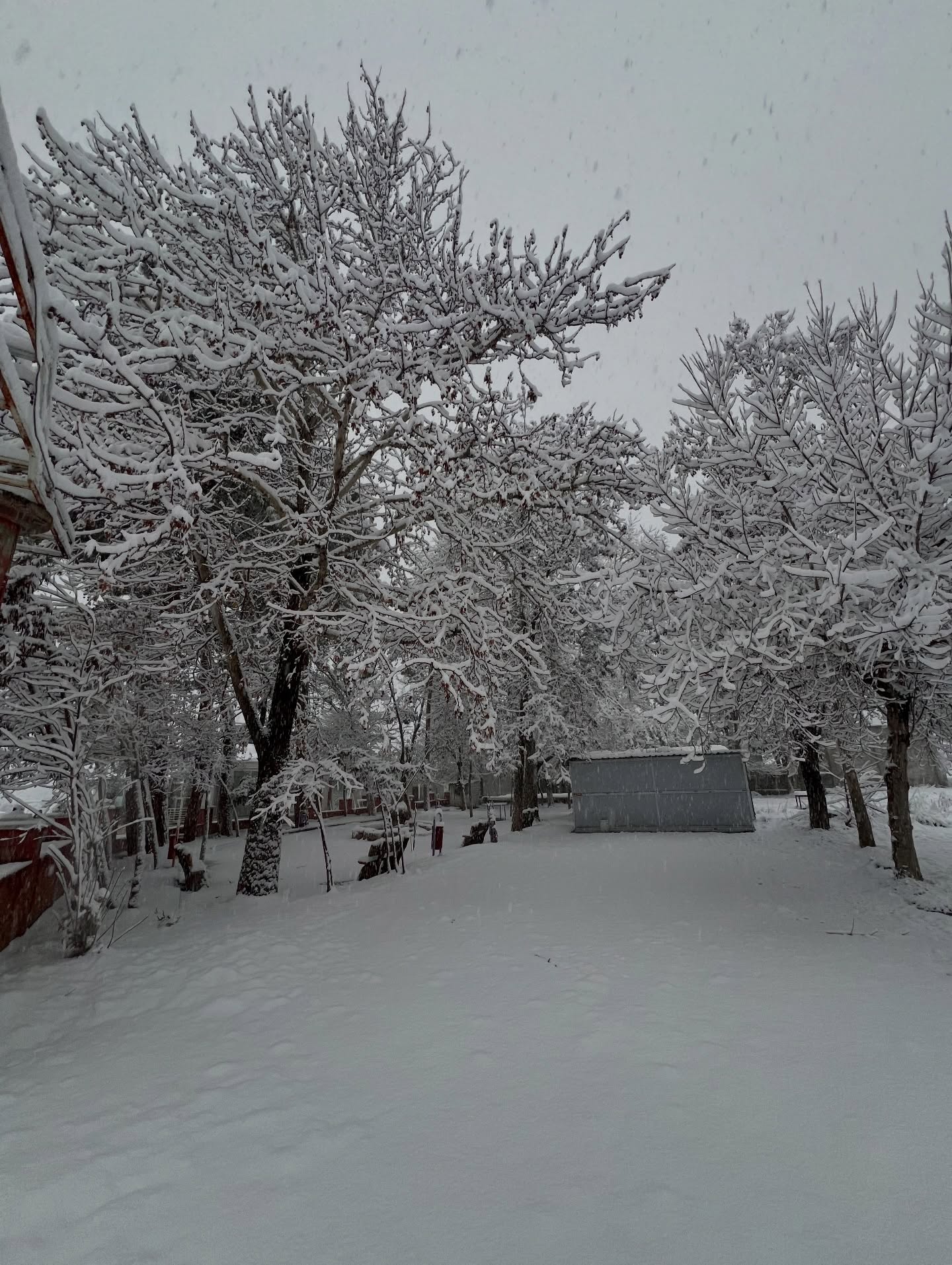 608948642 18440476516111217 3846804154601461571 N