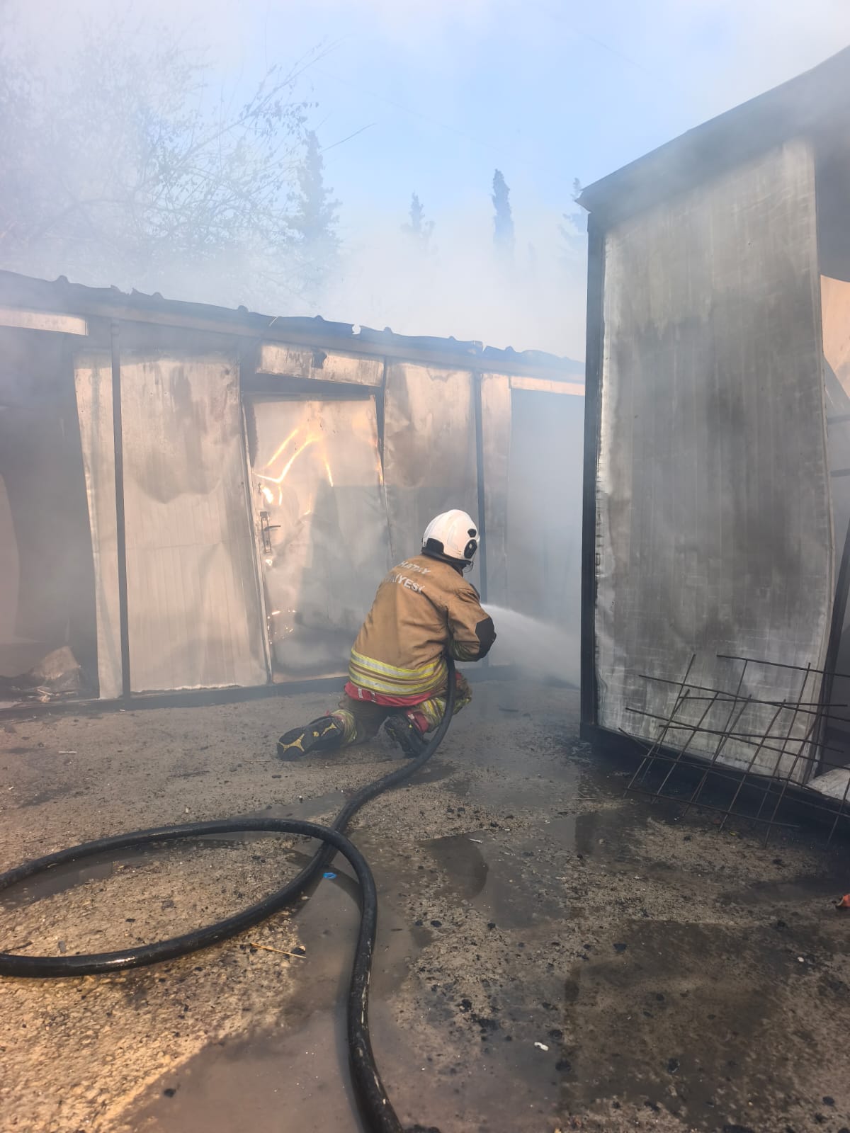 65006B32 79D9 49C5 8Aa2 B03F3Ba5Ac38