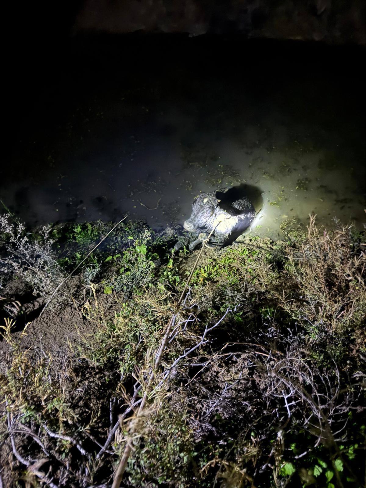 89928Be9 221B 4Af3 B718 Dec8B375929D