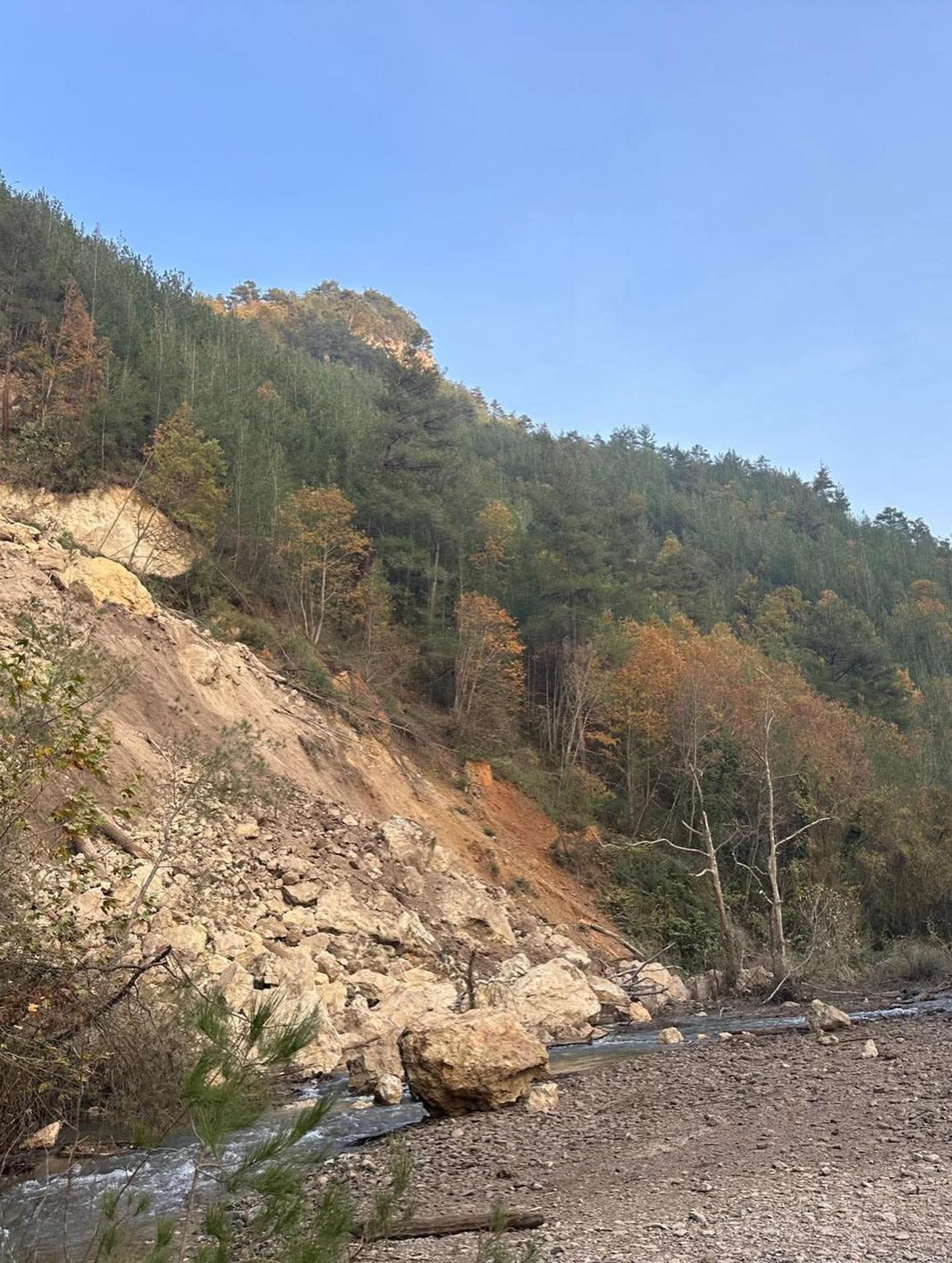 F B I M G 1765304715600