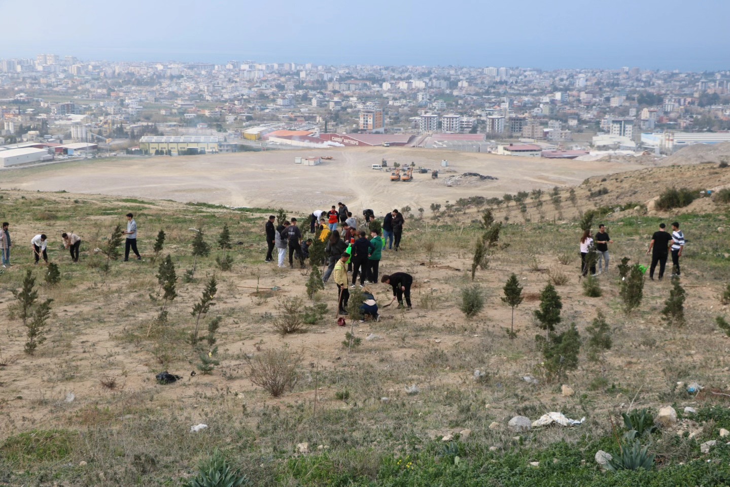 Isteli Fidan Dikti (4)