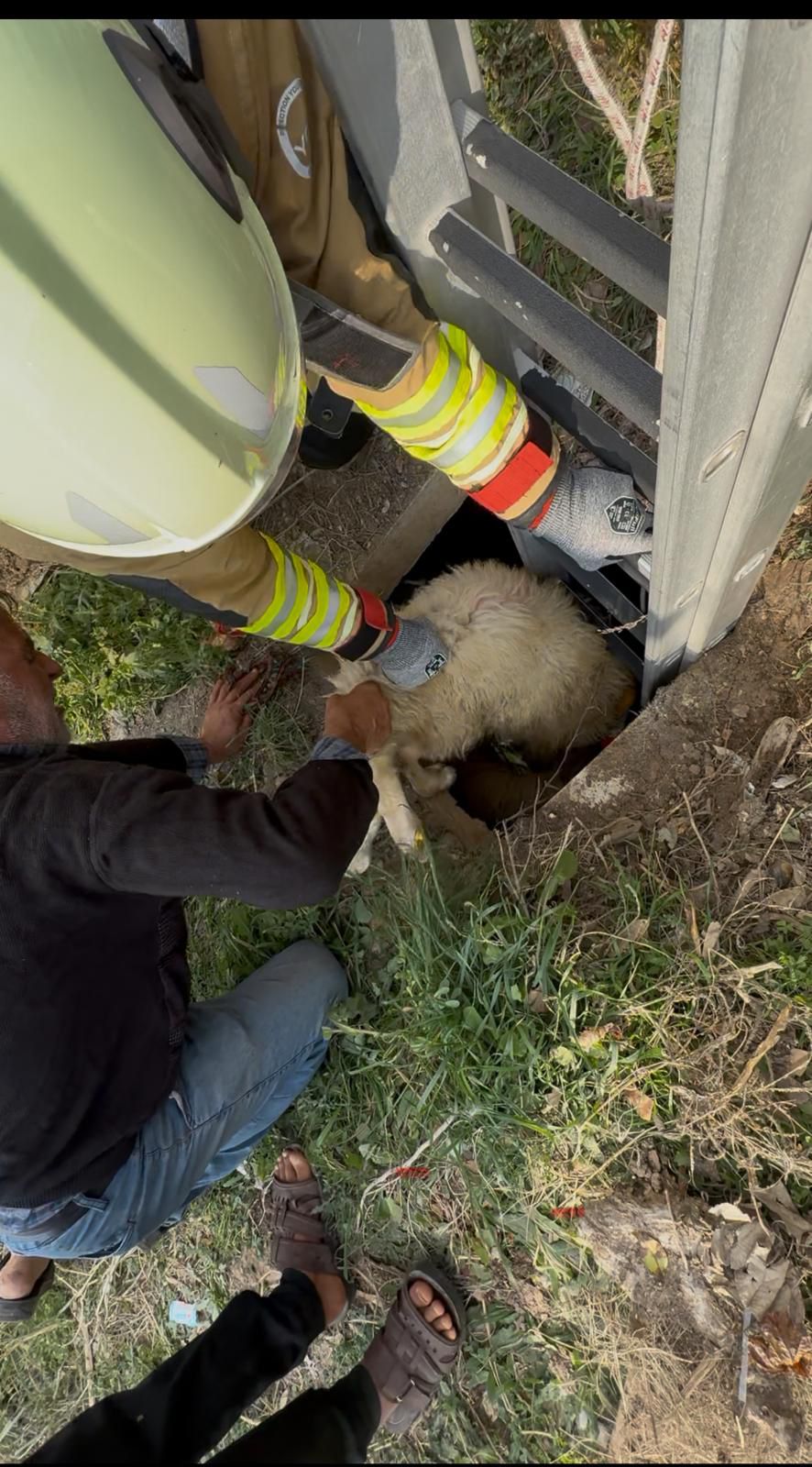 Kuyudaki Koyunu Itfaiye Cikardi (2)