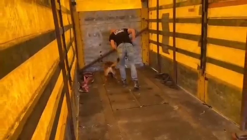 Tirda Captagon Cikti (4)