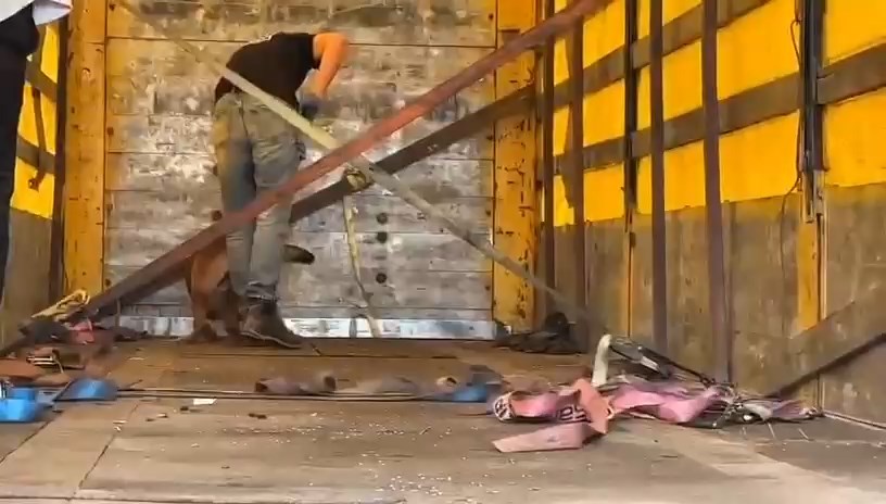 Tirda Captagon Cikti (5)