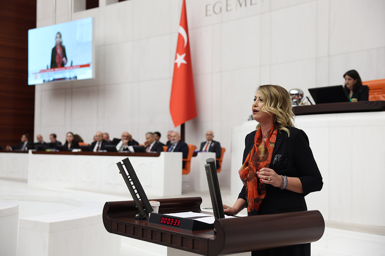 Yildirim Kara Butce (2)