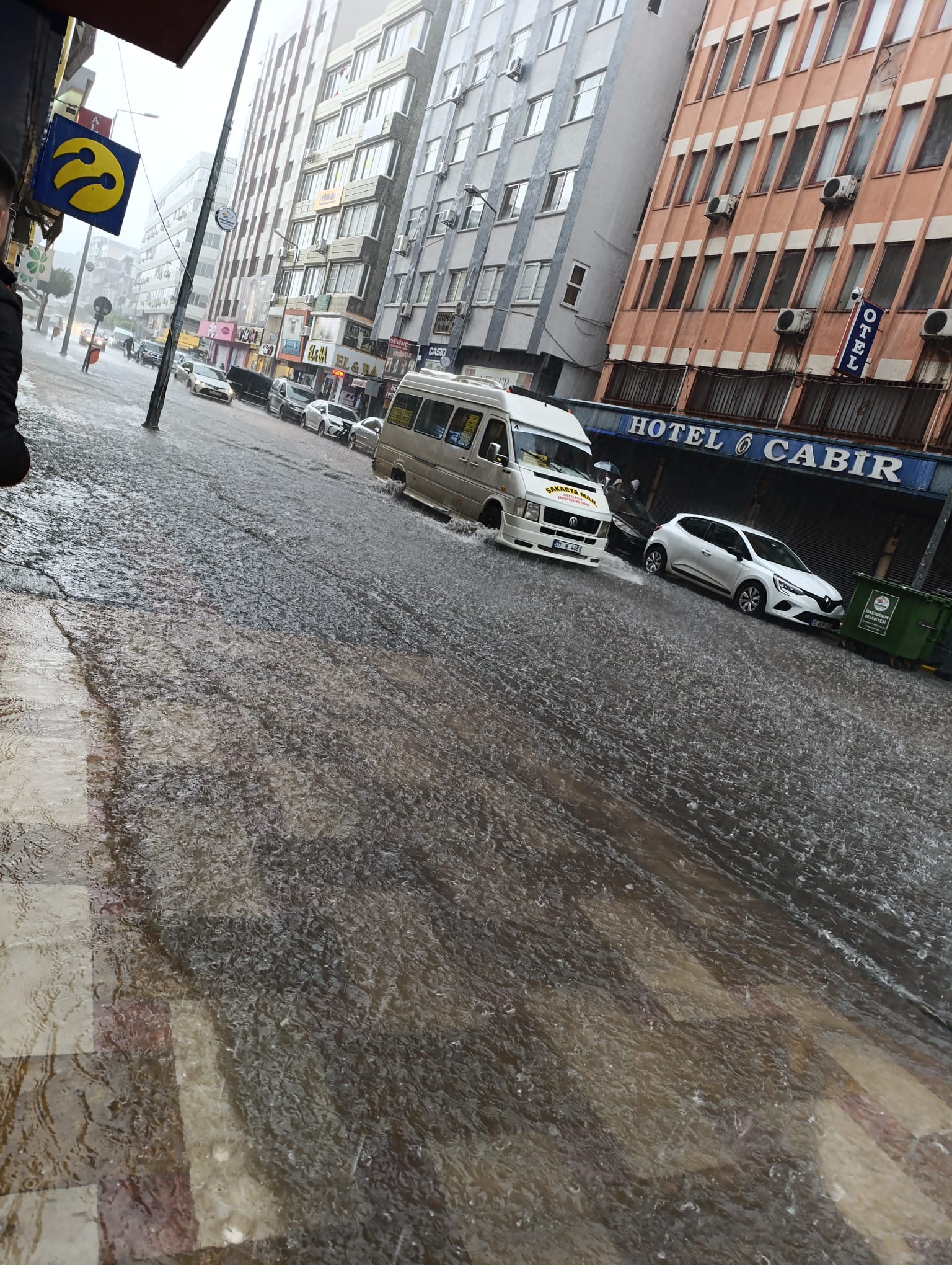 11695F4C Dce0 47C5 9354 23Efe002F996