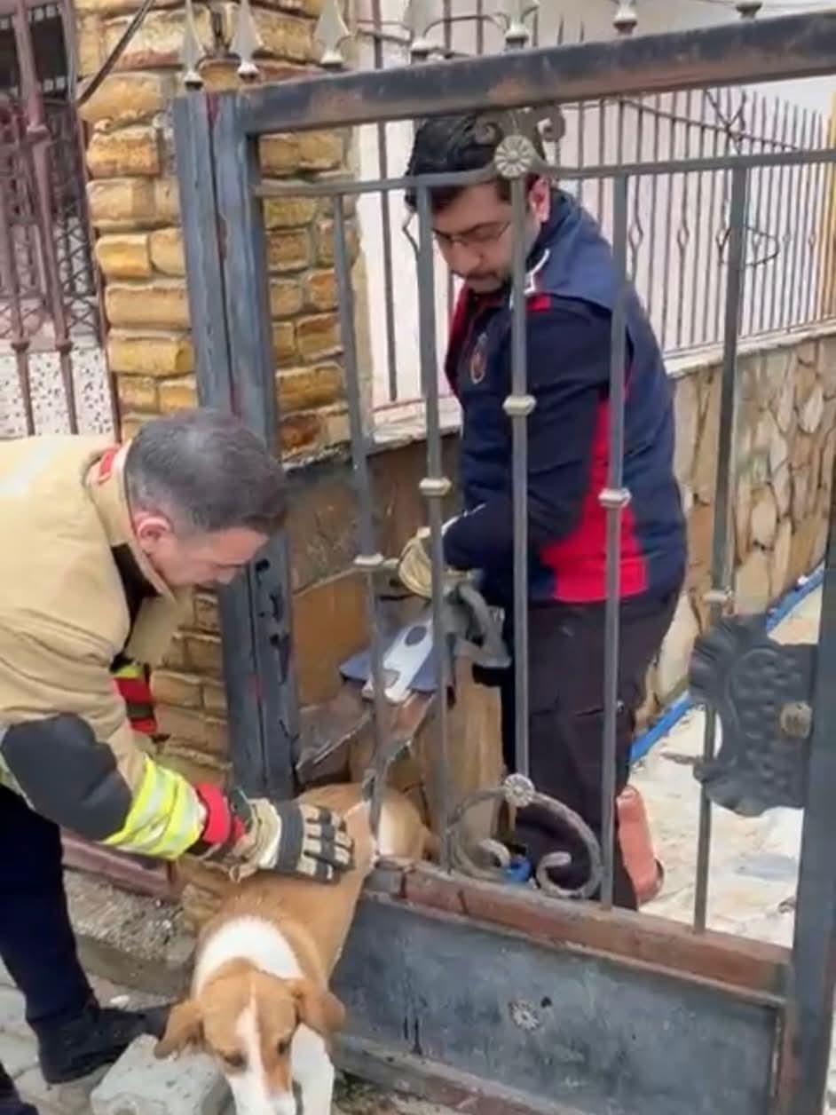 3D861356 A844 4Aaf Af31 69A0Cc28D59F