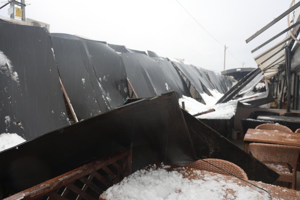 605881847 1260330662783157 7540031584058141486 N