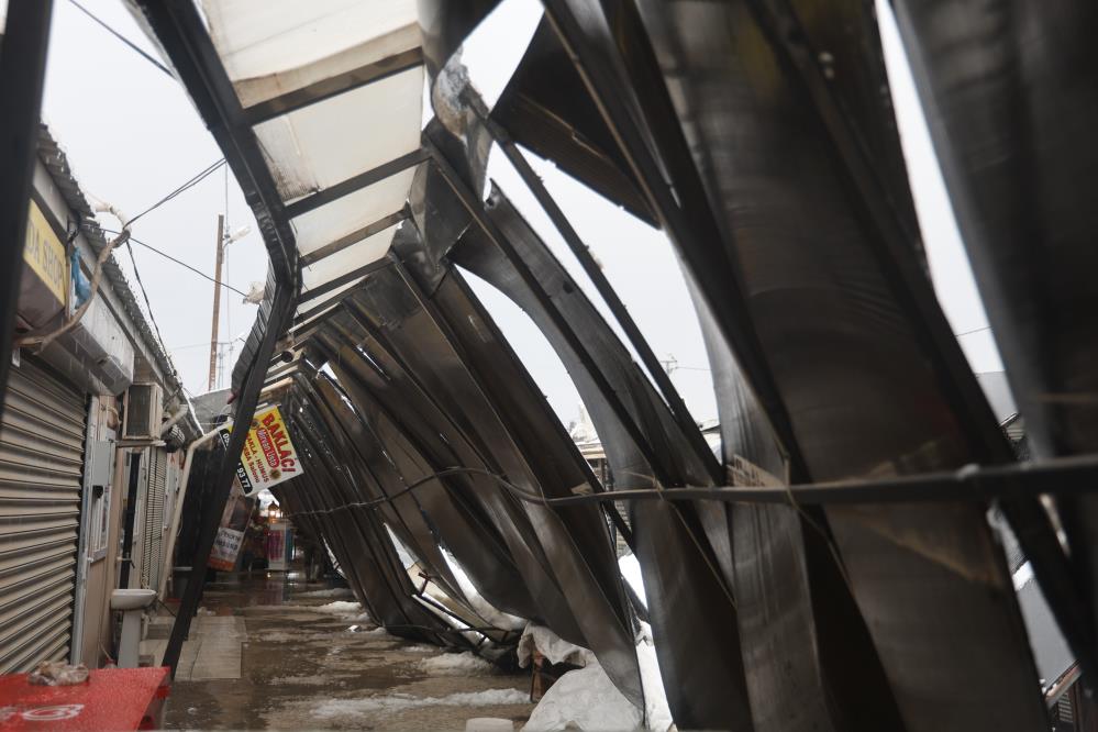 607430551 1260330676116489 7582624327725966859 N