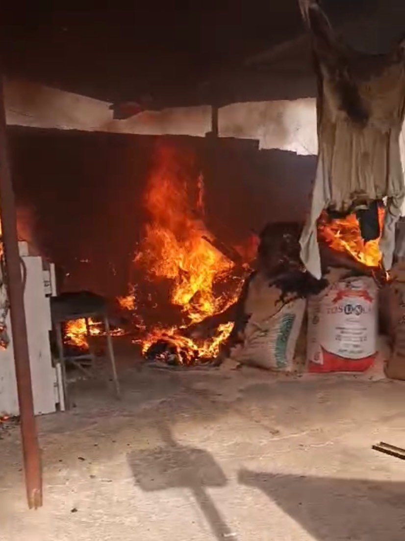 623239497 18311260720302183 1916111139699322065 N