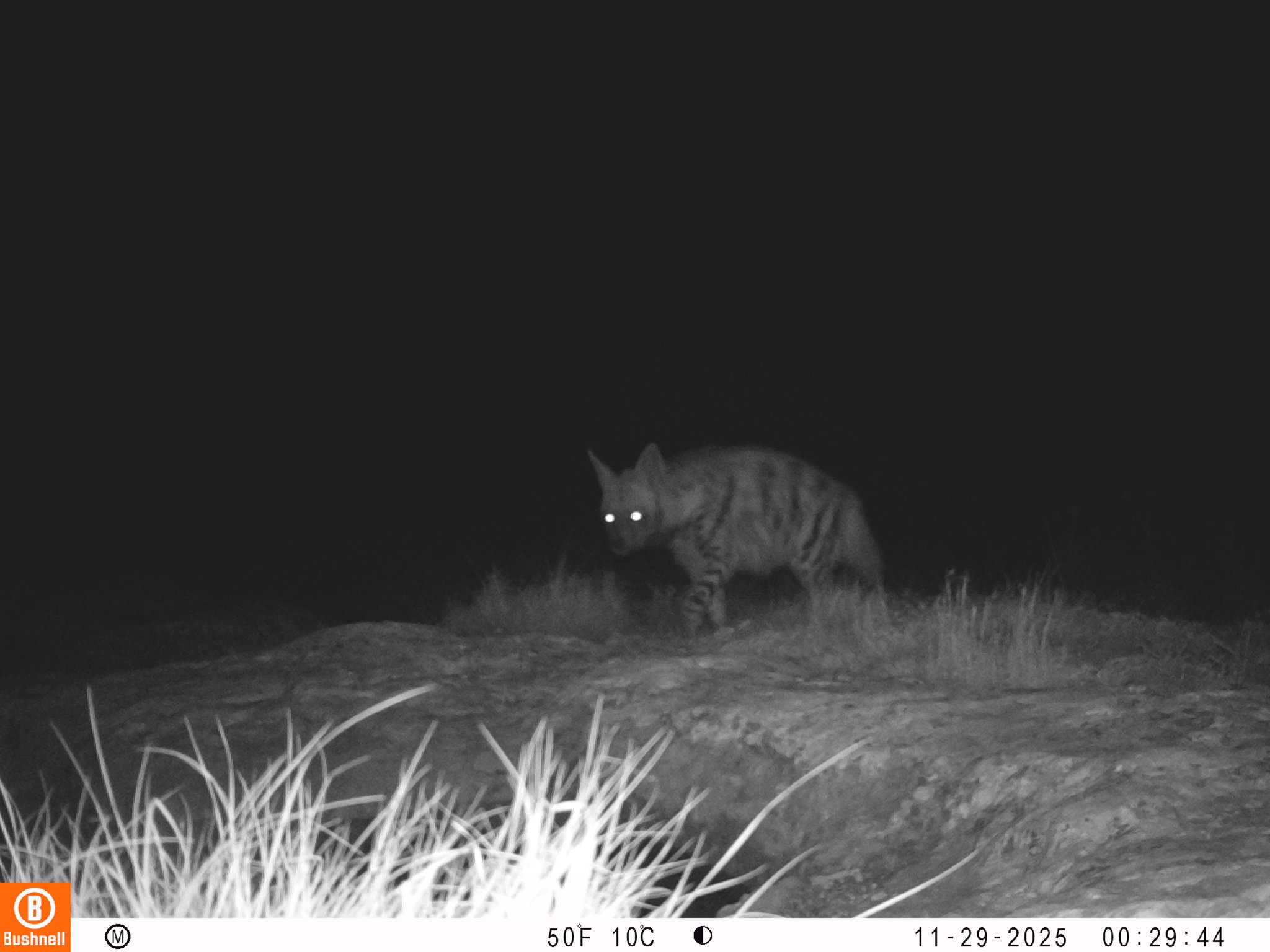 624562487 10242127871479364 6918795301799742063 N