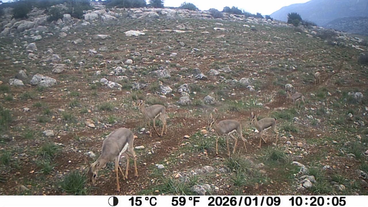 A Q Mxvt G Y9Hvf I1G Czb Q H8 G K Msk3S L X O Pl O W Ji U J F Z21K M Eoh N6K1 T M9Kc Z C34Iy K0 L11Ohchy5 Pfmxs Zc9E R U4 Xs1 B H I J V C Jpt M51Afu Qd Bw.mp4 Snapshot 00.00.172