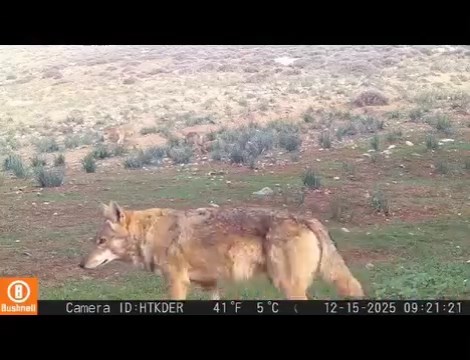 A Q Ne X0 H N8 O Nfib G H8 L Bc 6Fqv A I06 U Bhql Qad A Hy Tz42Y B N Z R Os J G Sb V2Uagvc Hdd Gmsijl Wyzp M Jk Kn I1Lzap Q5W5Ag Axy0 Wz Z Zw Wz Mw.mp4 Snapshot 00.01.069