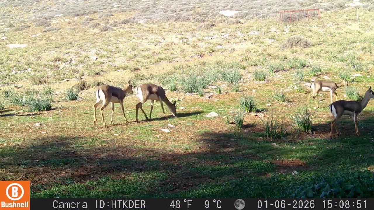 A Q O E Z 5T G L7X Hn W T U0 Rea E A Z2 Uks6Zts I I Bl B P P Ys Q B7 Xxo2 Z N Yf6Teo N82 Te7 Uz46R B4 Jrv Y6 G Hw C H6 V Id Hr Dz U Cp P U Ul6Q6Bp Owx A A.mp4 Snapshot 00.01.775