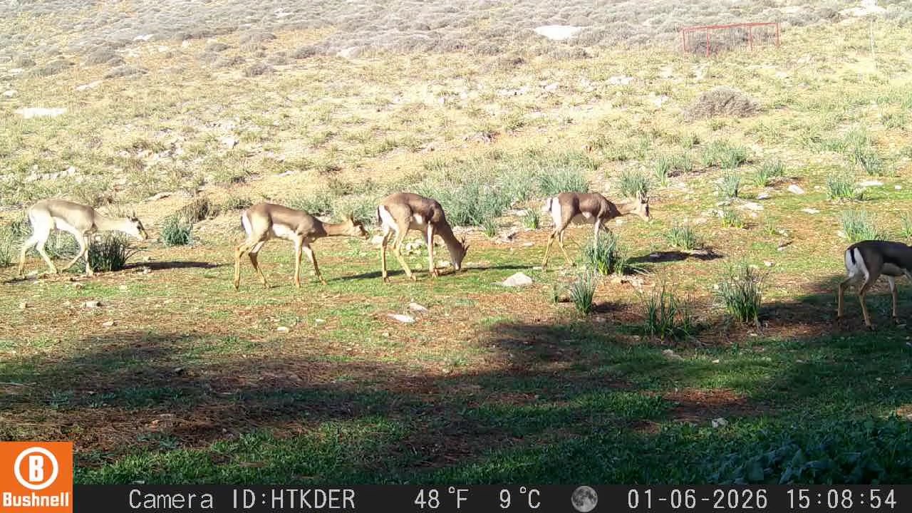 A Q O E Z 5T G L7X Hn W T U0 Rea E A Z2 Uks6Zts I I Bl B P P Ys Q B7 Xxo2 Z N Yf6Teo N82 Te7 Uz46R B4 Jrv Y6 G Hw C H6 V Id Hr Dz U Cp P U Ul6Q6Bp Owx A A.mp4 Snapshot 00.10.000