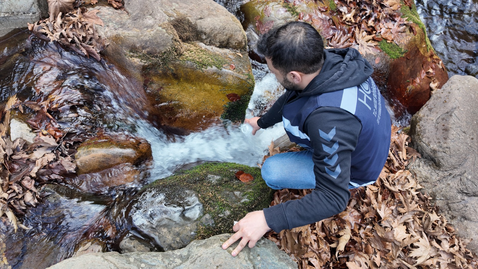 A1Cfc312 Db45 49A8 Af57 2E2736141B15