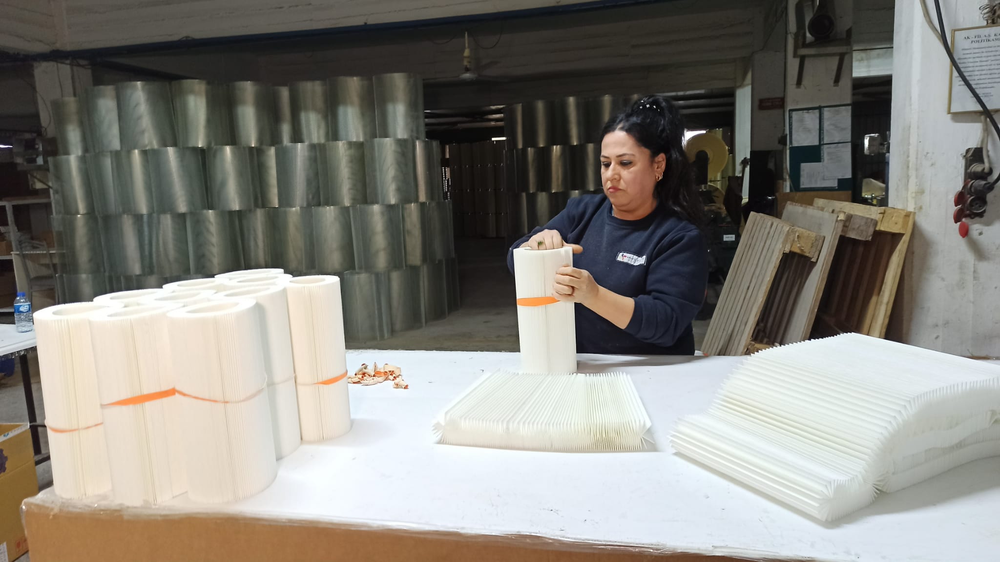 Akfil Ahmet Tarik Dincer (2)