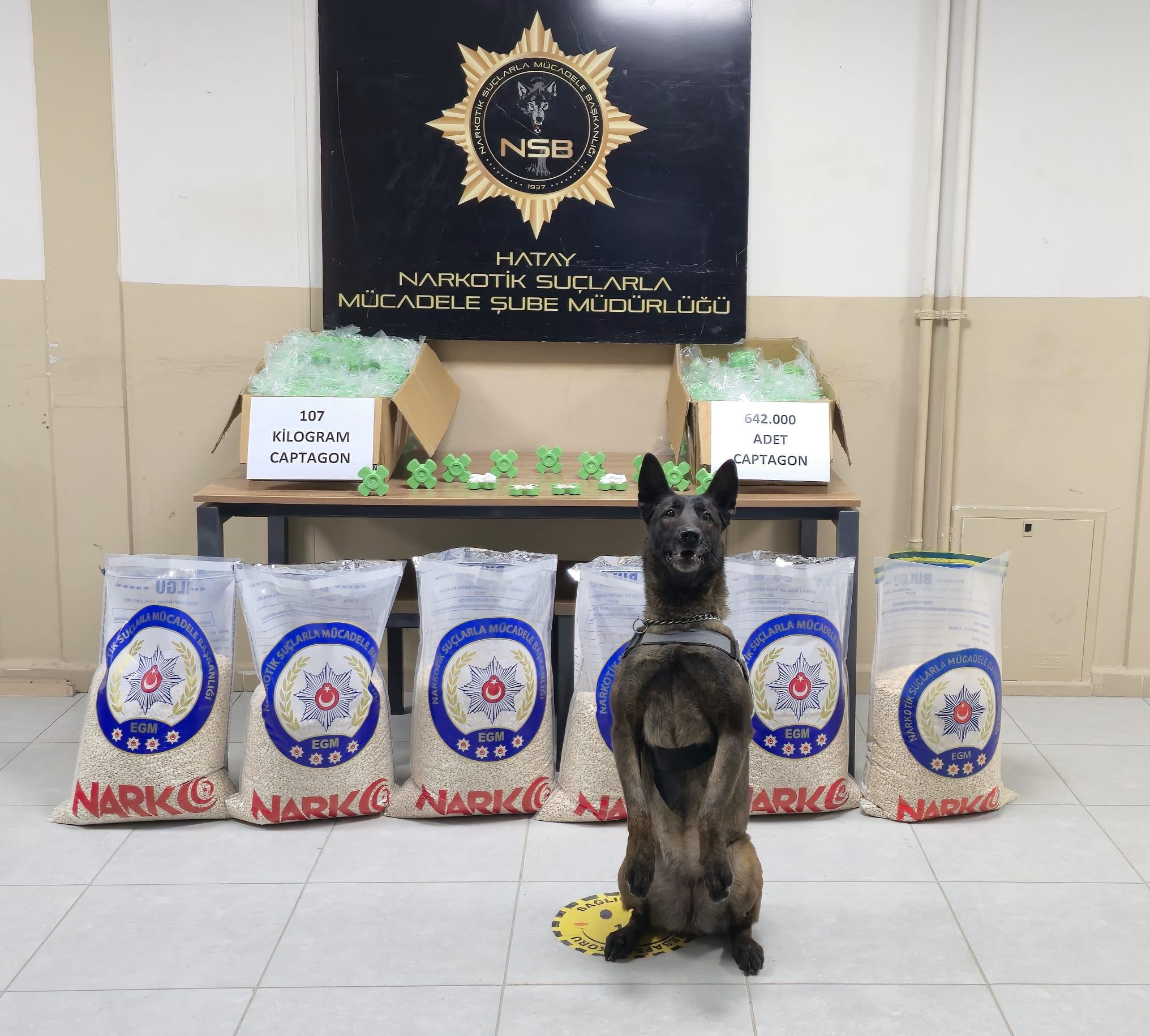 Captagon Operasyonu (4)