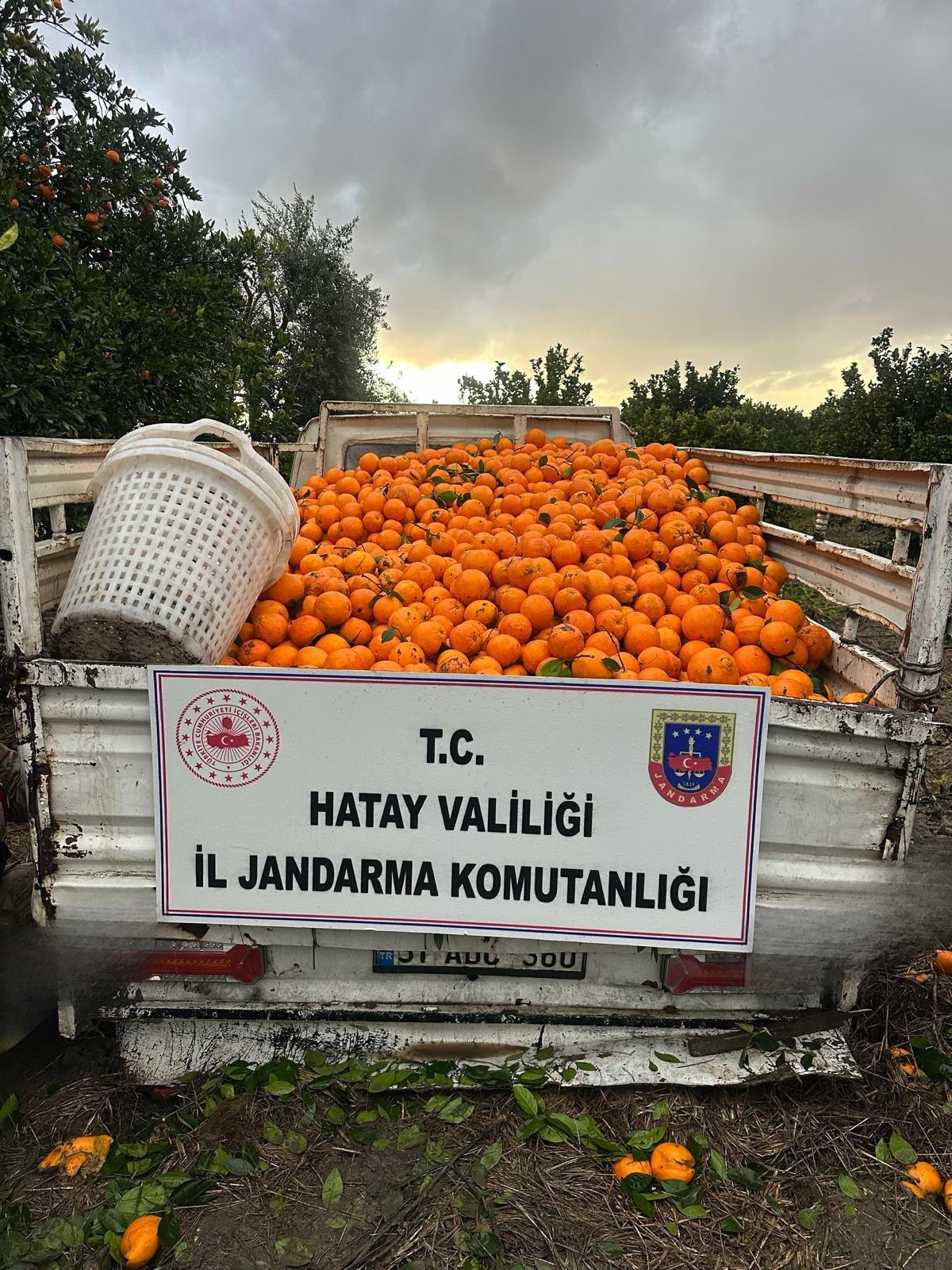 Cf8Ba887 F89D 4Fc1 Bfe8 Fd26F505Fb51