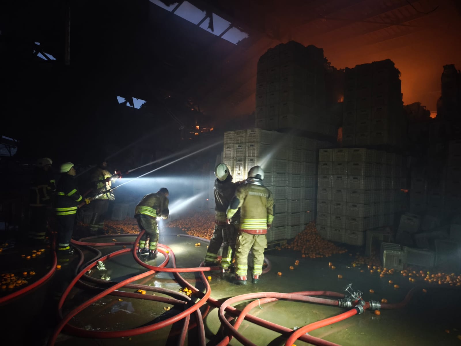 D041B317 F83F 4362 Bf46 D54E564167C2