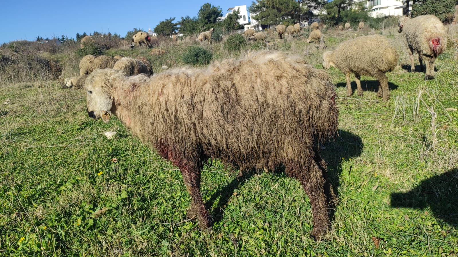 F128Dc1D 41B4 4Daa B3Af 7Fb57B7C5434