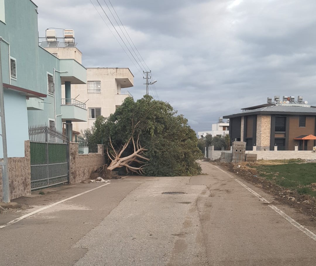 F2711B4C 332C 46B8 96E3 28Af6Fd695Dc