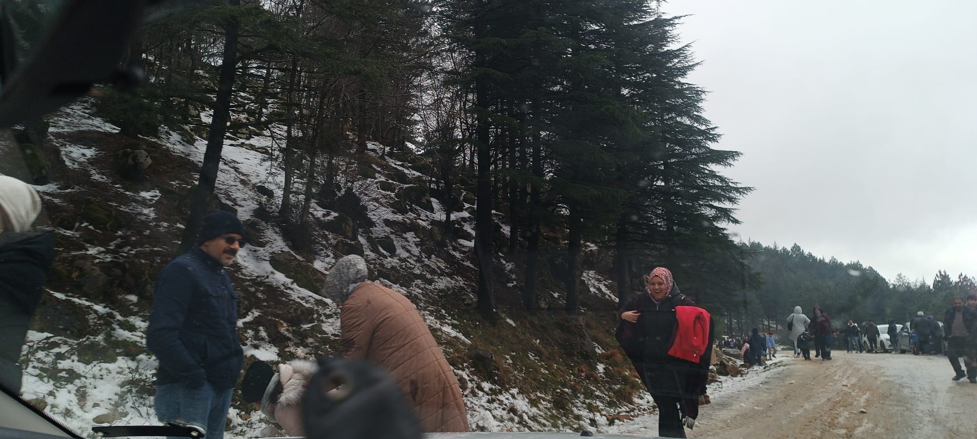 F7D9F251 9E86 4D67 8Df5 B5Fed0Cbcc32