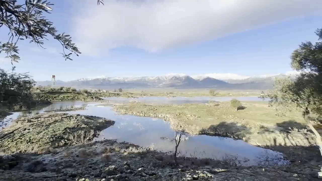 Hassa Kar.mp4 Snapshot 00.45.867