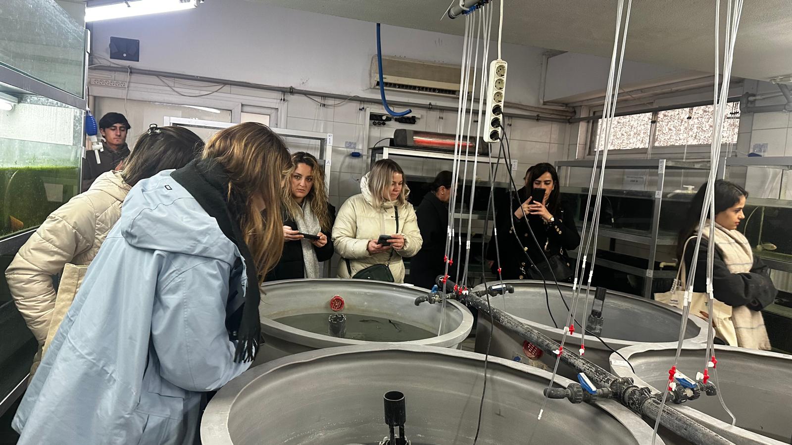 Izmir Su Urunleri Bulusmasi (3)