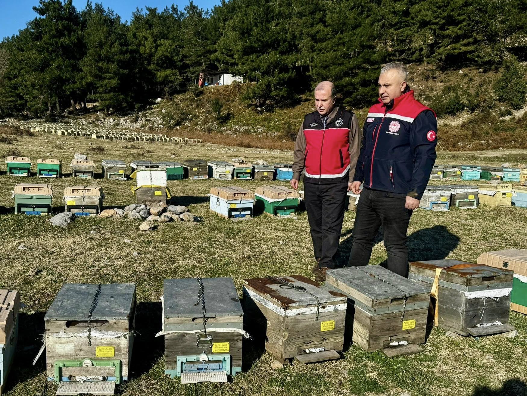 Tarım Muduru Arı (2)