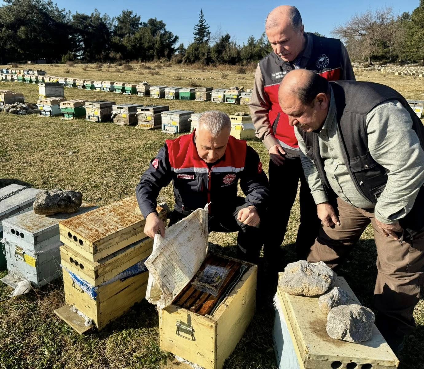 Tarım Muduru Arı (3)