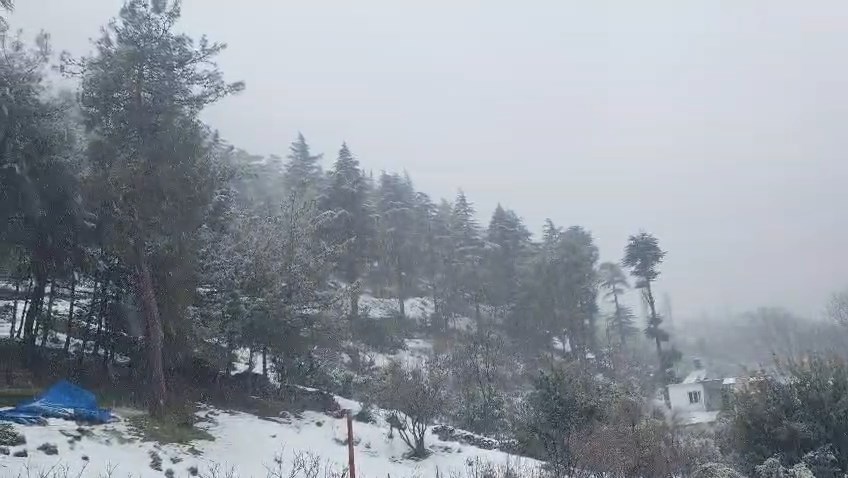 Whatsapp Video 2026 01 17 At 11.24.17 (1).Mp4 Snapshot 00.01.531