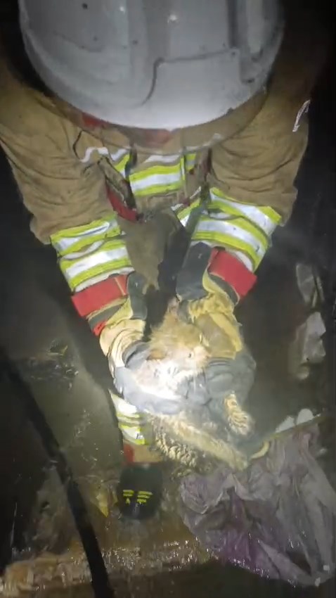 Whatsapp Video 2026 01 20 At 10.20.23.Mp4 Snapshot 00.07.705